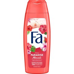 Fa dušigeel (250 ml) цена и информация | Масла, гели для душа | kaup24.ee