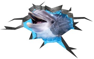 3D armas delfiinide vinüülpõrandakleebis – 120x73cm цена и информация | Декоративные наклейки | kaup24.ee