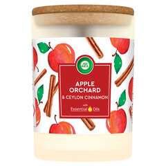 Ароматическая свеча Air Wick Apple Orchard & Ceylon Cinnamon 185 г цена и информация | Подсвечники, свечи | kaup24.ee