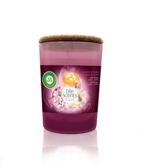 Lõhnaküünal Air Wick Summer Delight, 185 g hind ja info | Küünlad, küünlajalad | kaup24.ee