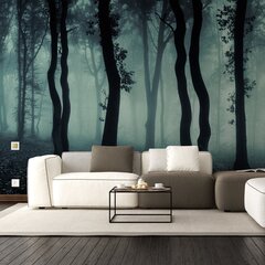 Tapeet Udune mets, öise metsa efektiga tapeet - 390 x 280 cm hind ja info | Seinakleebised | kaup24.ee