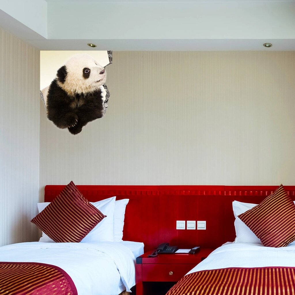 Vinüülist seinakleebis, 3D panda, loomakleebis - 60 x 60 cm цена и информация | Seinakleebised | kaup24.ee