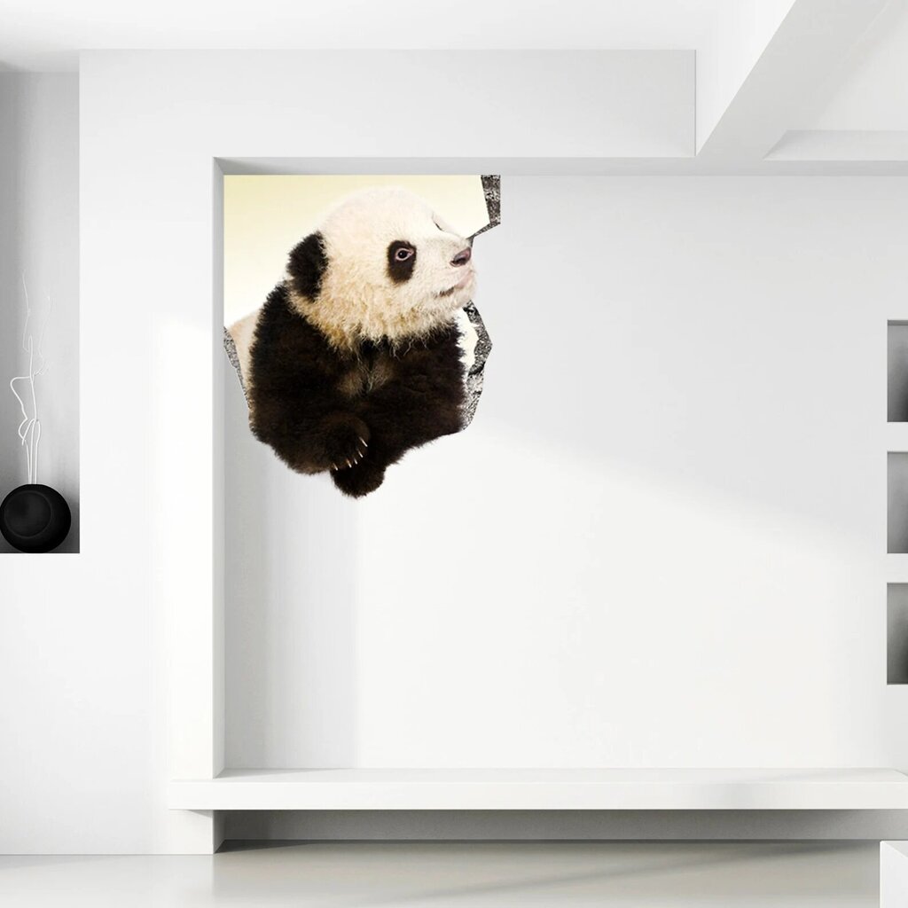 Vinüülist seinakleebis, 3D panda, loomakleebis - 60 x 60 cm цена и информация | Seinakleebised | kaup24.ee