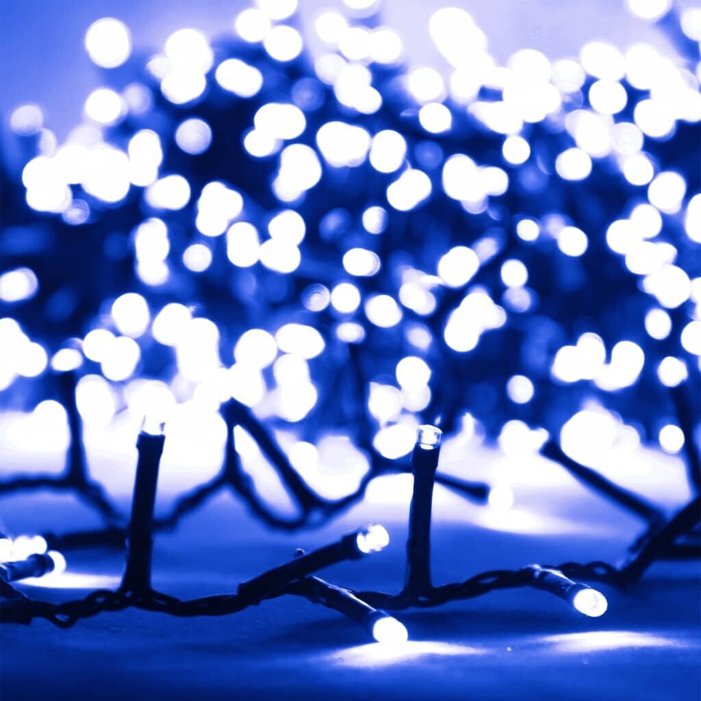 vidaXL LED-valgusriba, 1000 LEDi, sinine, 10 m, PVC hind ja info | Jõulutuled | kaup24.ee