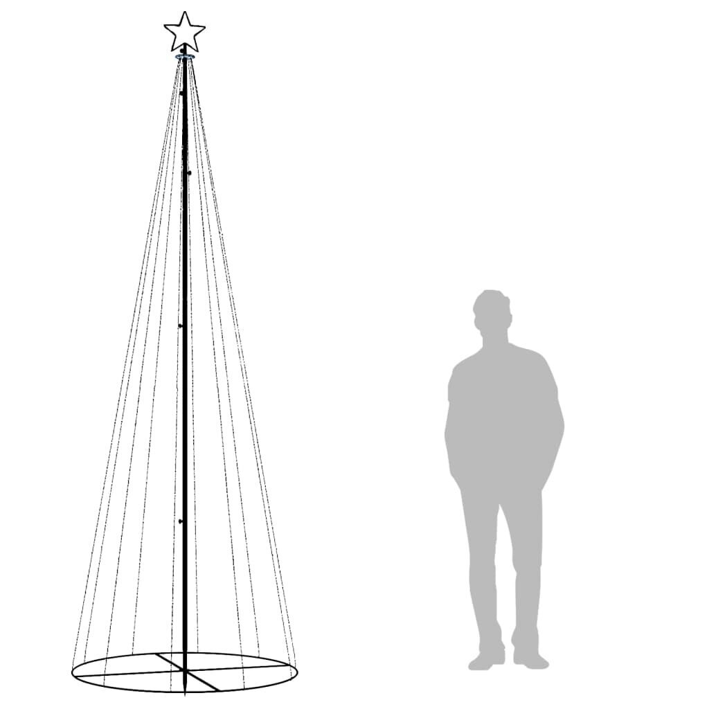 vidaXL koonusekujuline jõulupuu, soe valge, 310 LEDi, 100 x 300 cm hind ja info | Jõulukaunistused | kaup24.ee