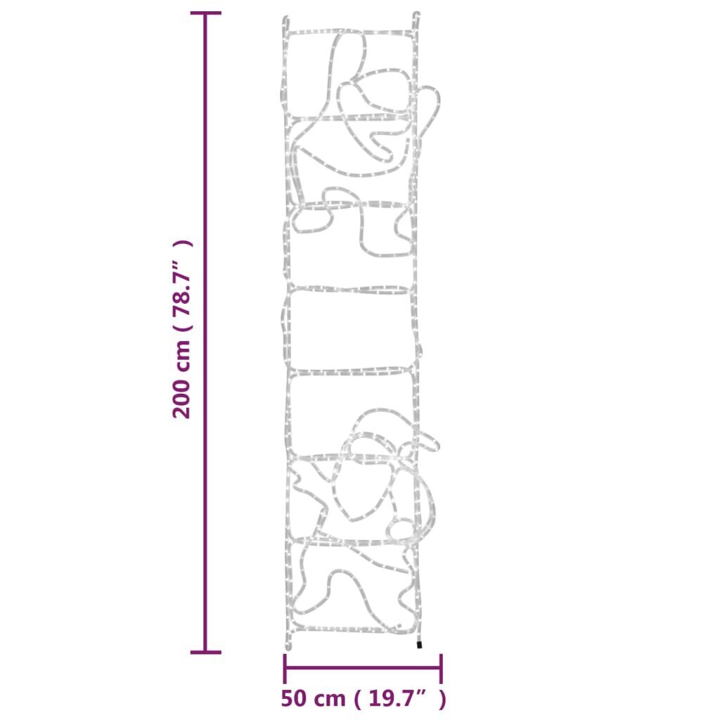 vidaXL kokkupandav jõuluvana redelil 552 LEDiga 50x200 cm hind ja info | Jõulutuled | kaup24.ee