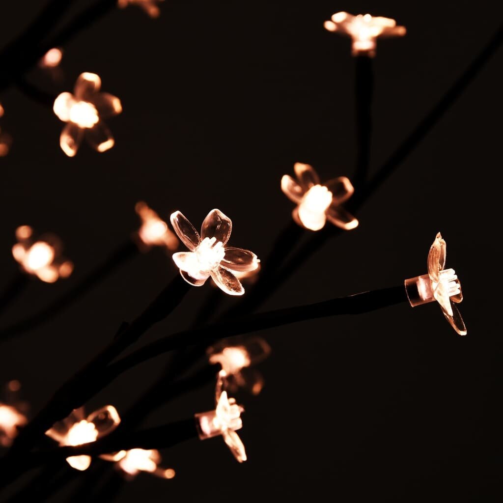 vidaXL kirsiõitega LED-puu, soe valge, 220 LEDi, 220 cm цена и информация | Jõulukaunistused | kaup24.ee