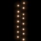 vidaXL LED-valgusriba, 3000 LEDi, soe valge, 60 m, PVC hind ja info | Jõulutuled | kaup24.ee