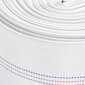 vidaXL tuletõrjevoolik, 20 m, 2", PVC цена и информация | Survevoolikud | kaup24.ee