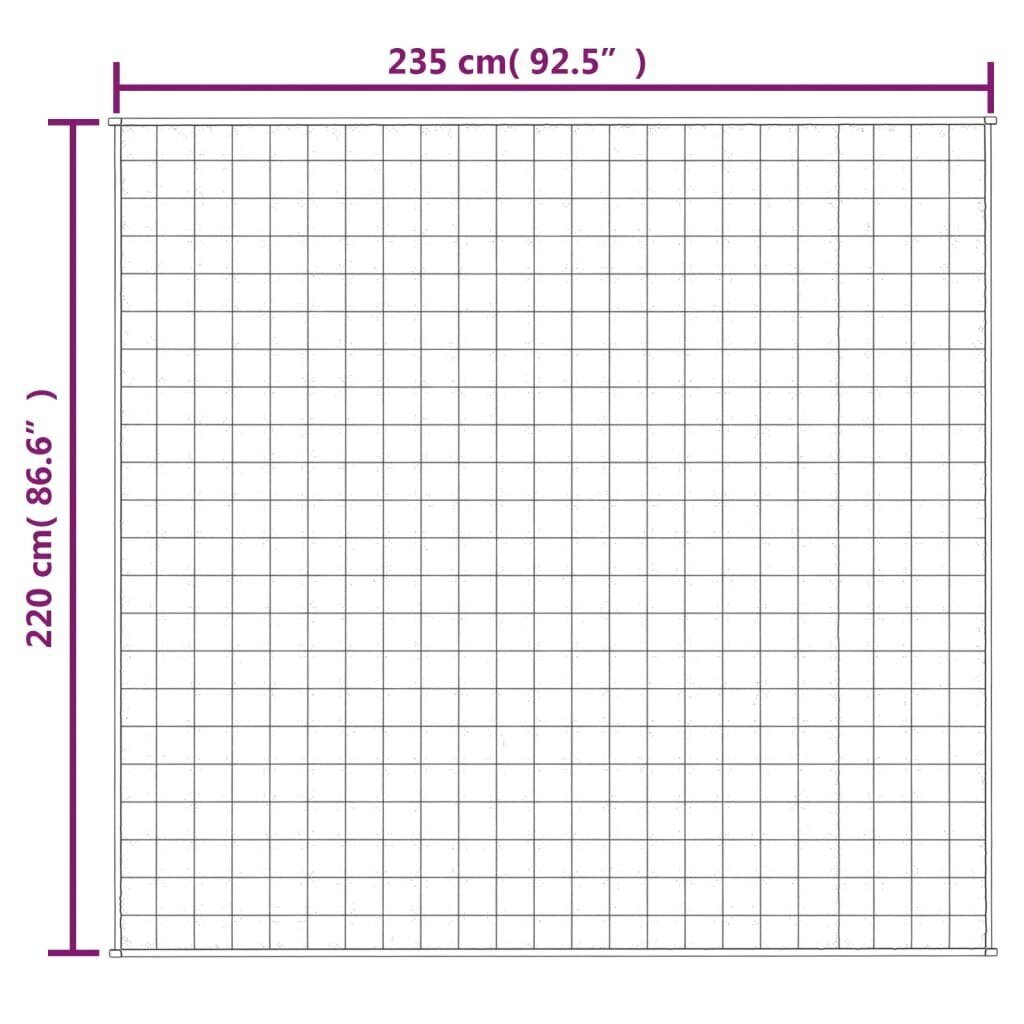 vidaXL raskustekk sinine 220x235 cm 15 kg kangas hind ja info | Tekid | kaup24.ee