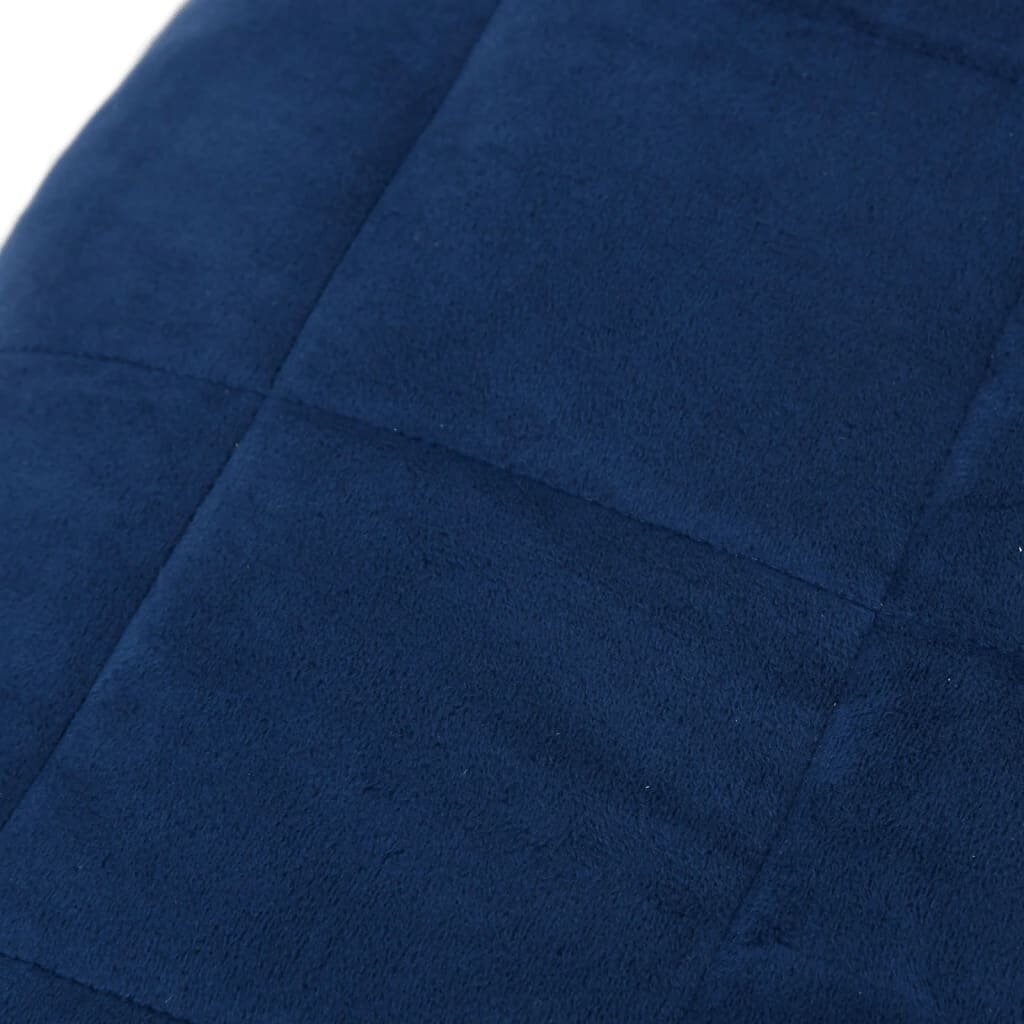 vidaXL raskustekk sinine 220x235 cm 11 kg kangas hind ja info | Tekid | kaup24.ee