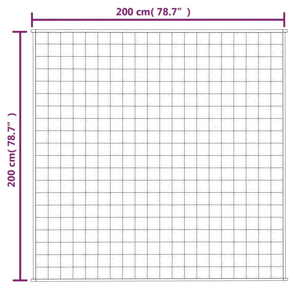 vidaXL raskustekk sinine 200x200 cm 13 kg kangas hind ja info | Tekid | kaup24.ee