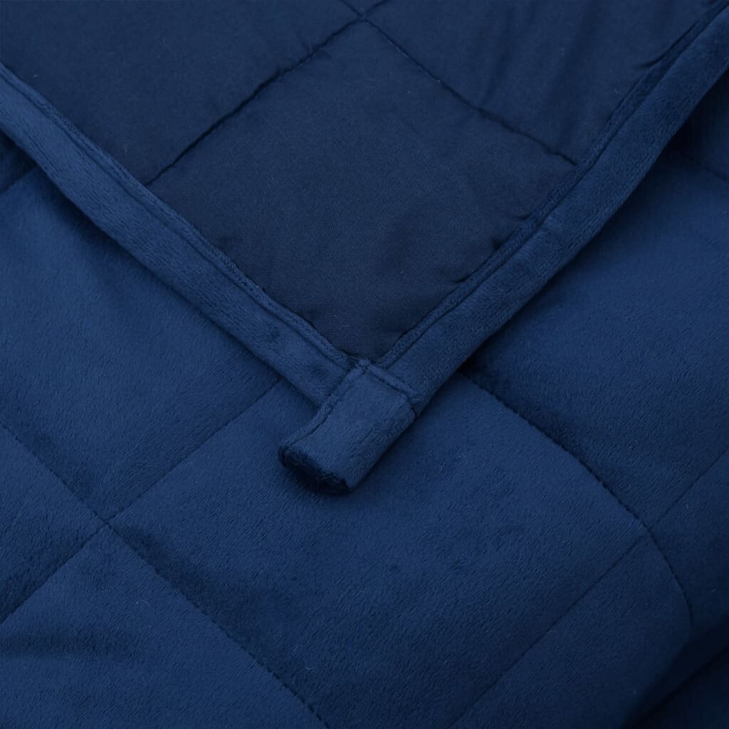 vidaXL raskustekk sinine 200x200 cm 13 kg kangas hind ja info | Tekid | kaup24.ee