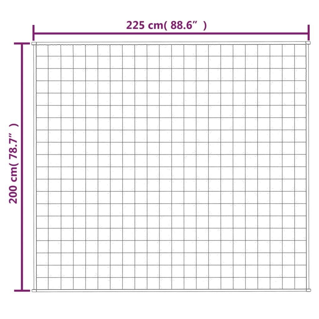 vidaXL raskustekk sinine 200x225 cm 13 kg kangas hind ja info | Tekid | kaup24.ee