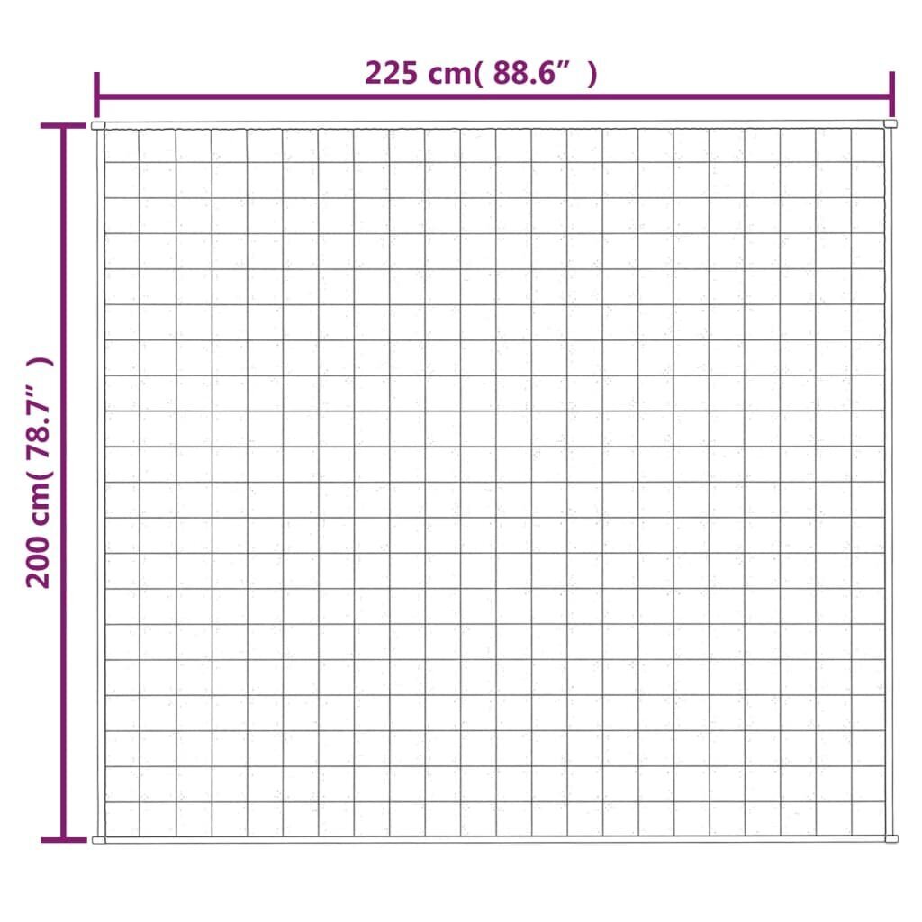 vidaXL raskustekk hall 200x225 cm 9 kg kangas hind ja info | Tekid | kaup24.ee