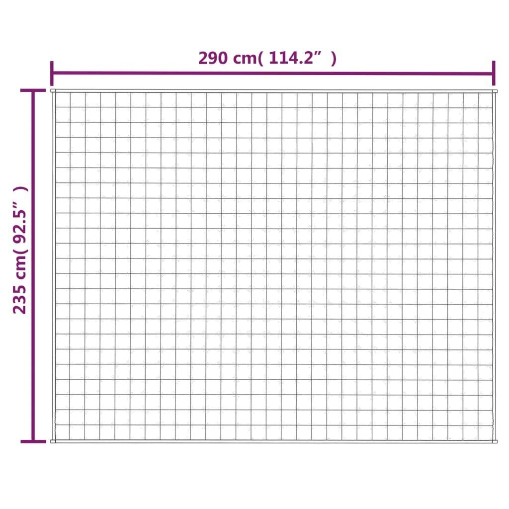 vidaXL raskustekk hall 235x290 cm 11 kg kangas цена и информация | Tekid | kaup24.ee