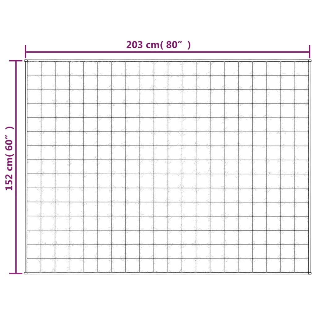 vidaXL raskustekk hall 152x203 cm 7 kg kangas hind ja info | Tekid | kaup24.ee