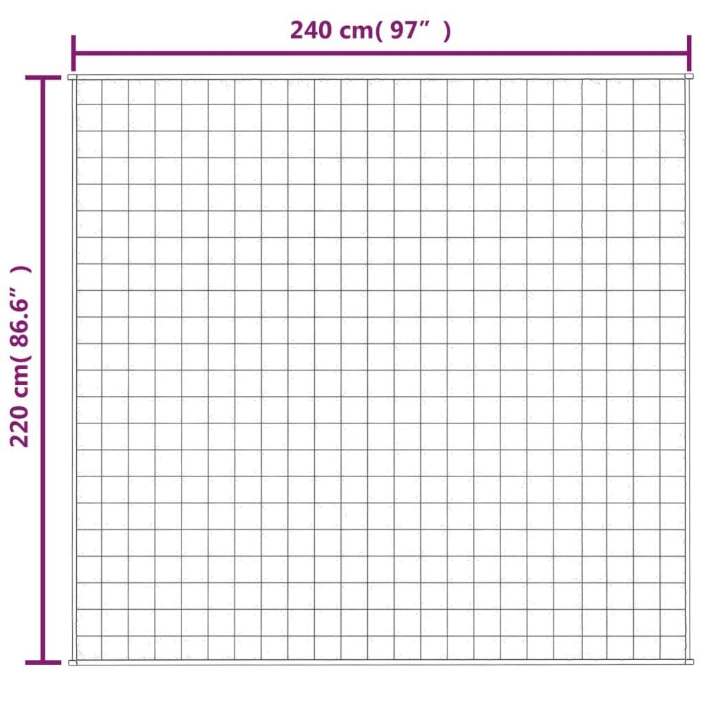 vidaXL raskustekk hall 220x240 cm 15 kg kangas hind ja info | Tekid | kaup24.ee