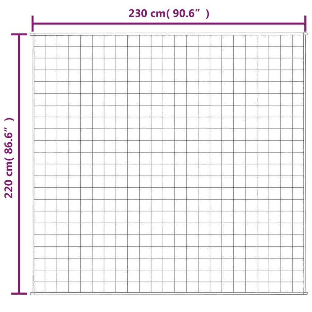 vidaXL raskustekk hall 220x230 cm 15 kg kangas hind ja info | Tekid | kaup24.ee