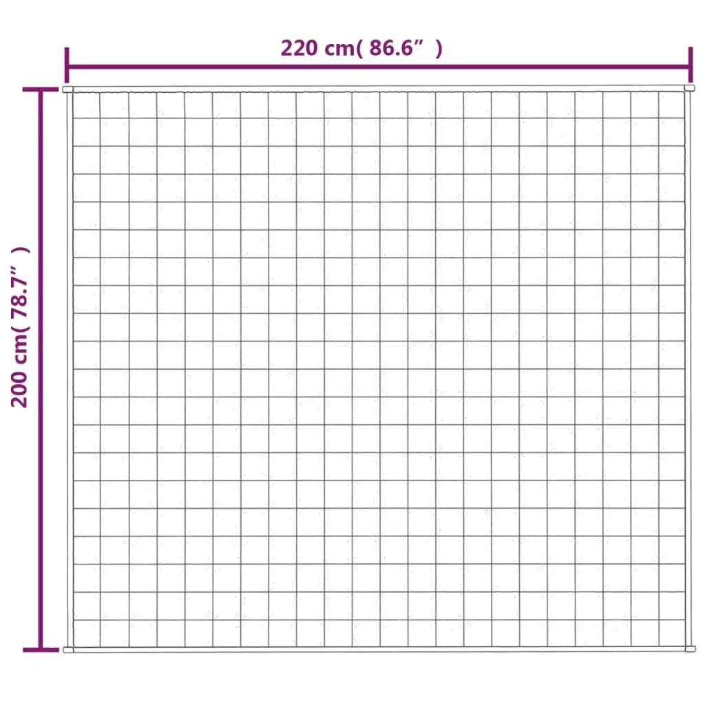 vidaXL raskustekk hall 200x220 cm 13 kg kangas hind ja info | Tekid | kaup24.ee