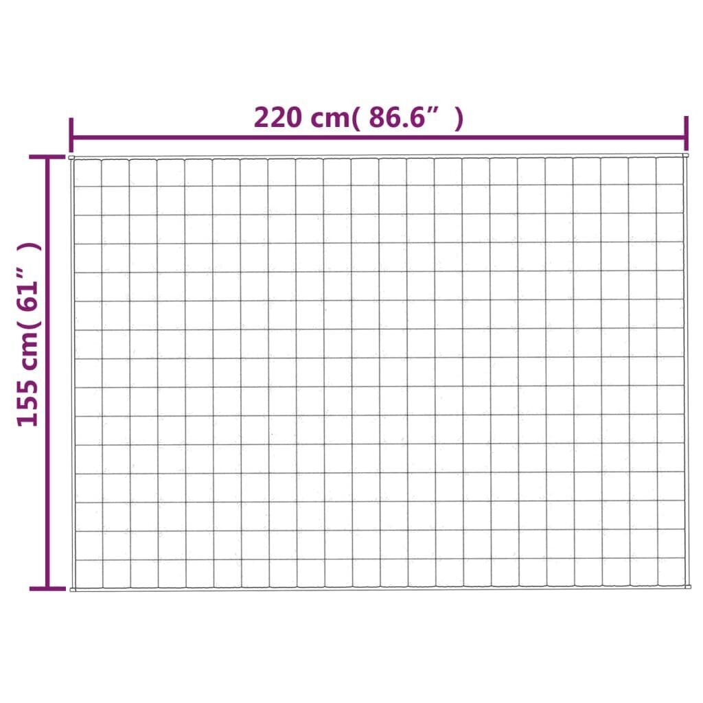 vidaXL raskustekk hall 155x220 cm 11 kg kangas hind ja info | Tekid | kaup24.ee