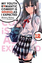 My Youth Romantic Comedy Is Wrong, As I Expected, Vol. 12 (light novel) цена и информация | Фантастика, фэнтези | kaup24.ee