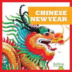 Chinese New Year цена и информация | Книги для подростков и молодежи | kaup24.ee