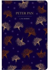 Peter Pan цена и информация | Фантастика, фэнтези | kaup24.ee