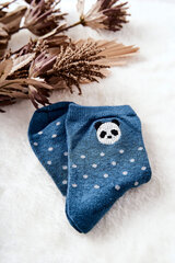 Laste sokid Panda, sinine цена и информация | Носки, колготки для девочек | kaup24.ee