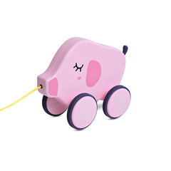 Tõmmatav mänguasi Lorelli Siga цена и информация | Развивающие игрушки | kaup24.ee