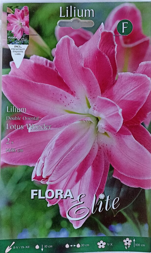 Liiliad Lotus Wonder, 2 tk hind ja info | Lillesibulad | kaup24.ee