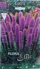 Liatrice, lilla, 10 tk hind ja info | Lillesibulad | kaup24.ee