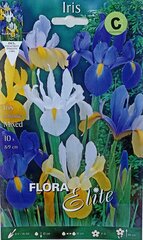 Suureõielised iirised, segatud, 10 tk hind ja info | Lillesibulad | kaup24.ee