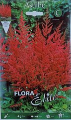 Astilbe, punane hind ja info | Lillesibulad | kaup24.ee