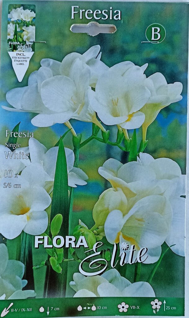 Freesias liht, valge, 10 tk цена и информация | Lillesibulad | kaup24.ee