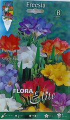 Freesiad lihtsad, segatud, 10 tk hind ja info | Lillesibulad | kaup24.ee