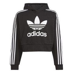 HOODIE ADIDAS ORIGINALS CROPPED HOODIE H32337 цена и информация | Свитеры, жилетки, пиджаки для мальчиков | kaup24.ee