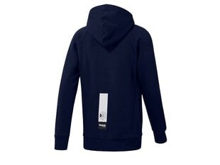 HOODIE REEBOK AC 1/2 ZIP OTH DH2066 цена и информация | Мужские толстовки | kaup24.ee