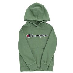 Džemper Champion rochester hooded sweatshirt 305949gs098 305949GS098 hind ja info | Poiste kampsunid, vestid ja jakid | kaup24.ee