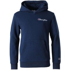 Džemper Champion rochester hooded sweatshirt 305960bs538 305960BS538 цена и информация | Свитеры, жилетки, пиджаки для мальчиков | kaup24.ee