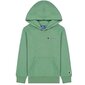 Džemper Champion rochester hooded sweatshirt 305960gs098 305960GS098 hind ja info | Poiste kampsunid, vestid ja jakid | kaup24.ee