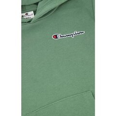 Džemper Champion rochester hooded sweatshirt 305960gs098 305960GS098 hind ja info | Poiste kampsunid, vestid ja jakid | kaup24.ee