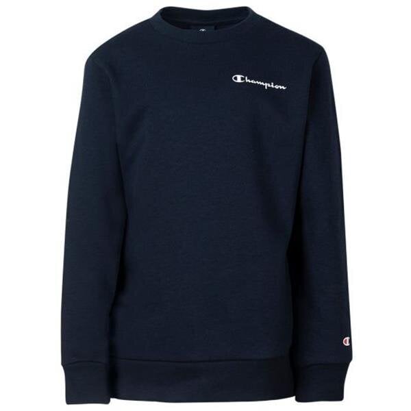 Džemper Champion legacy crewneck sweatshirt 306127bs501 306127BS501 цена и информация | Poiste kampsunid, vestid ja jakid | kaup24.ee