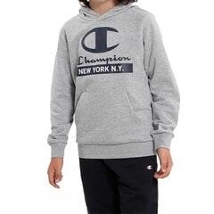 Džemper Champion hooded sweatshirt 306169em006 306169EM006 цена и информация | Свитеры, жилетки, пиджаки для мальчиков | kaup24.ee