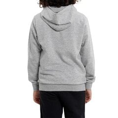 Džemper Champion hooded sweatshirt 306169em006 306169EM006 цена и информация | Свитеры, жилетки, пиджаки для мальчиков | kaup24.ee