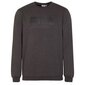 Džemper Fila barbian crew sweat fau009180029 FAU009180029 цена и информация | Meeste pusad | kaup24.ee