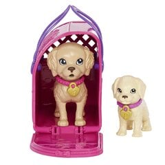 Barbie® võtab kutsikad komplekt HKD86 цена и информация | Игрушки для девочек | kaup24.ee