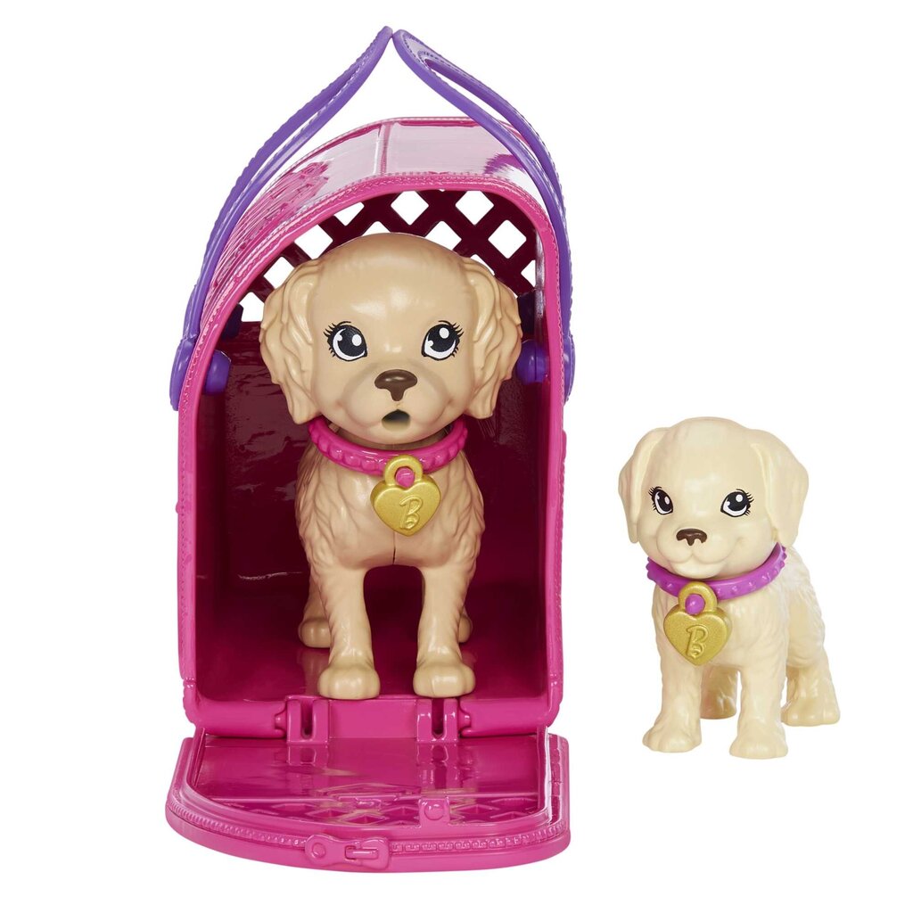 Barbie® võtab kutsikad komplekt HKD86 hind ja info | Tüdrukute mänguasjad | kaup24.ee