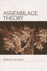 Assemblage Theory hind ja info | Ajalooraamatud | kaup24.ee
