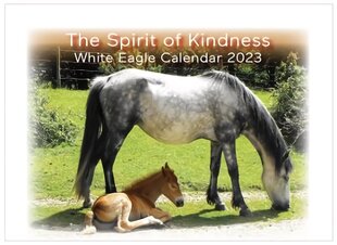 Spirit of Kindness - White Eagle Calendar 2023 hind ja info | Eneseabiraamatud | kaup24.ee